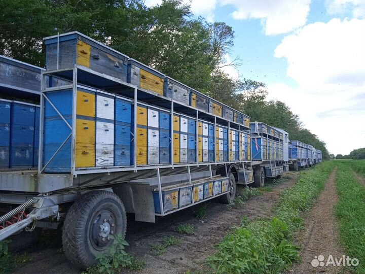 Прицеп пчеловоз, 2010