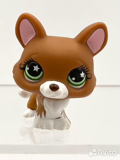 Littlest Pet Shop Corgi