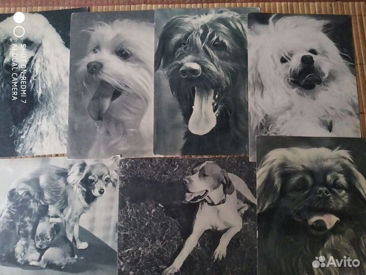 Открытки из СССР