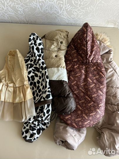 Одежда для собак мелких пород