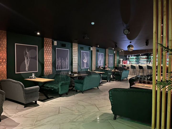 Габ, 9,3 лет окупаемость,Трафик, Пушкина