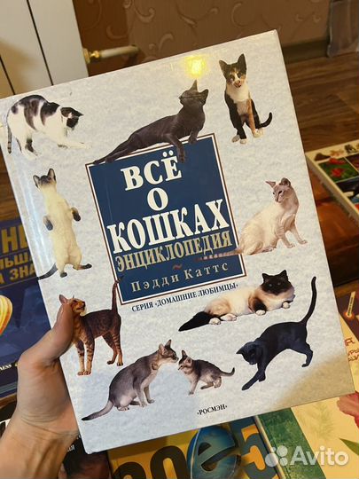 Книги гиннесс / кошки / косметология / кулинария