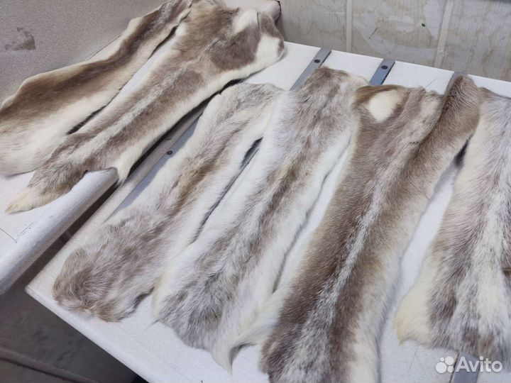 Светлый камус 11 шт унты лыжи