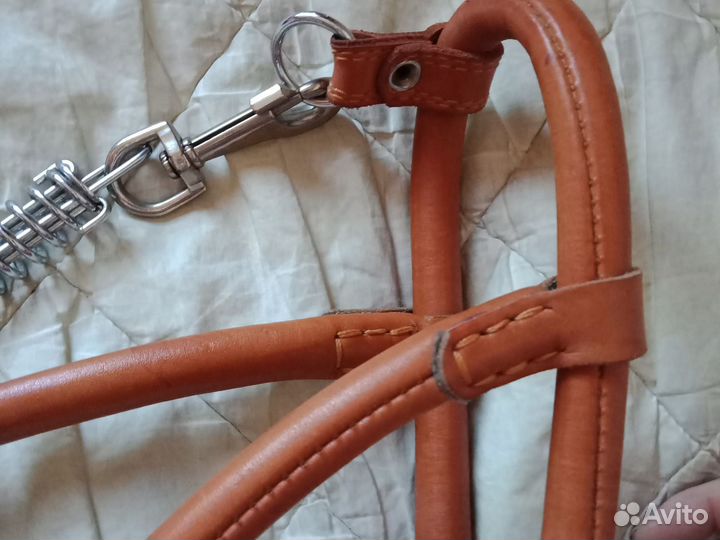 Портупея собачья