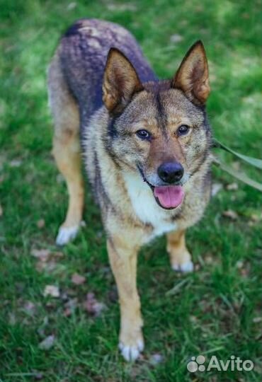 Стеша полжизни за решеткой