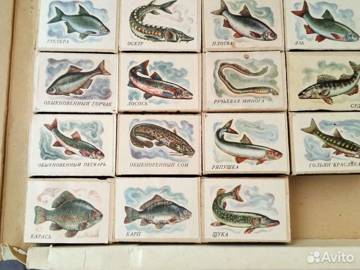 Спички коллекционные