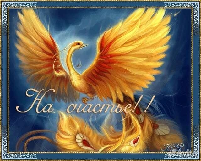 Слушатель, Ангелотерапевт, Астролог