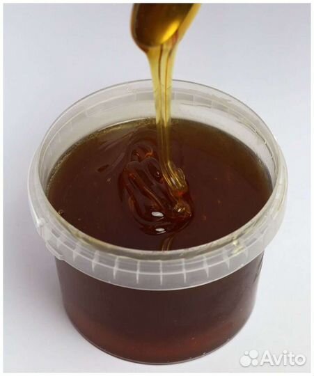 Мед дягилевый