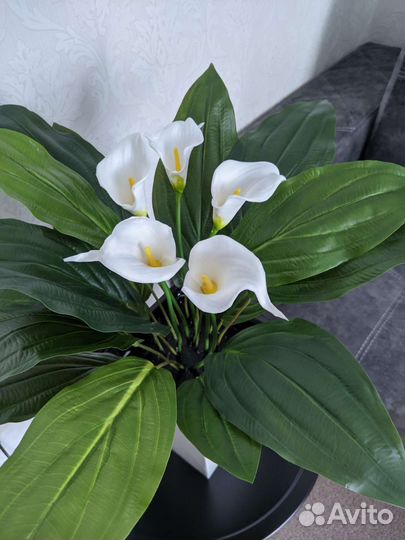 Искусственные растения и цветы