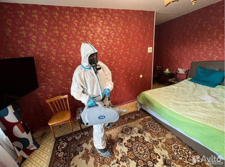 От клопов тараканов мышей блох запаха плесени