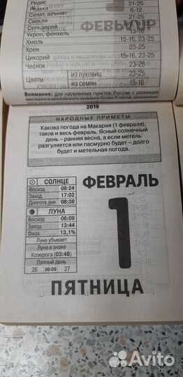 2019. Лист отрывного календаря с датой