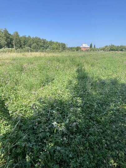 Участок 10 сот. (ИЖС)