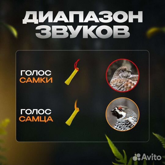 Манки рябчик самка+самец