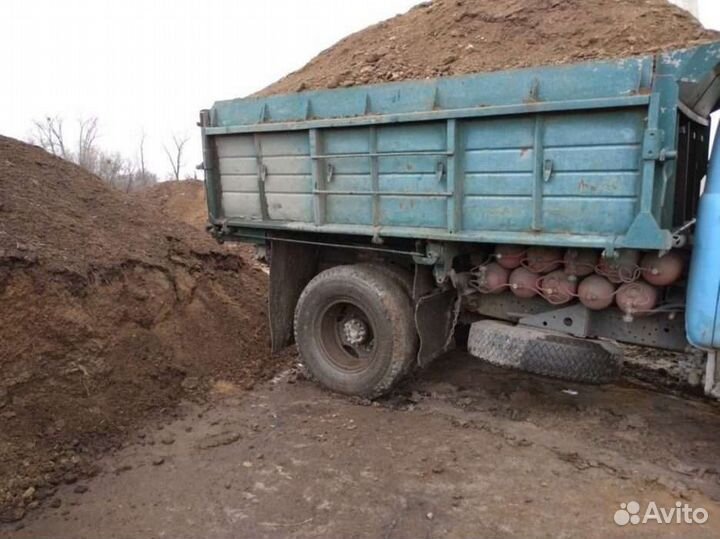 Куриный помет