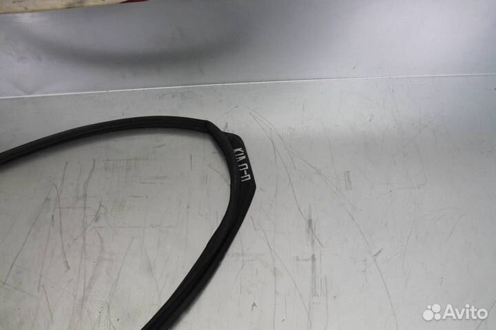 Уплотнитель двери передней правой Hyundai-KIA RI