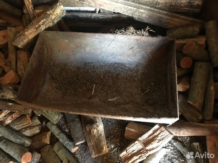 Карыто поросячее