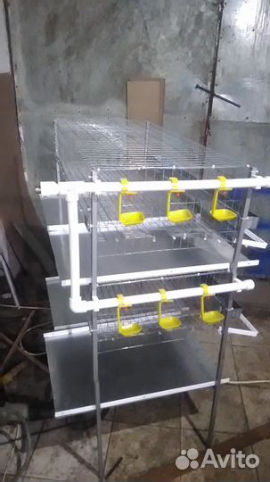 Клетки для перепелов