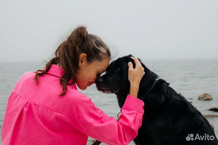 Фотосессия