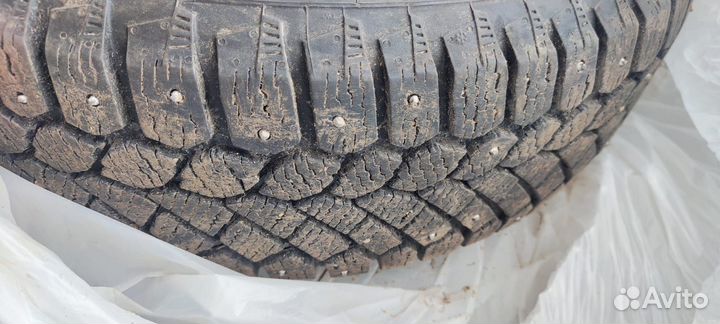 Gislaved Nord Frost 200 185/65 R15