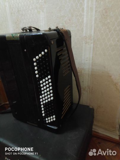 Баян тульский