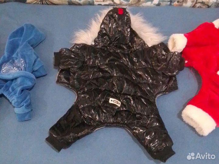 Одежда для тоя