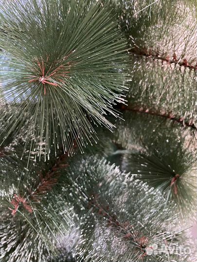 Елочка новая