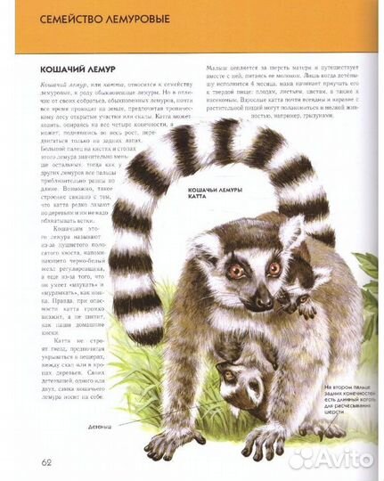 Детская энциклопедия, животные и насекомые эксмо