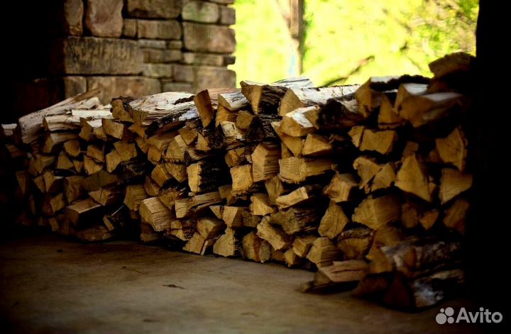 Дрова березка