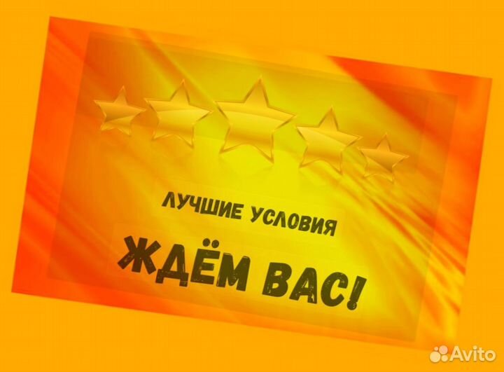 Наборщик заказов Без опыта Еженедельные выплаты