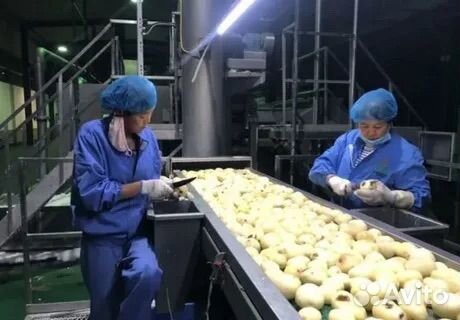 Уборщик, оператор, чистка овощей