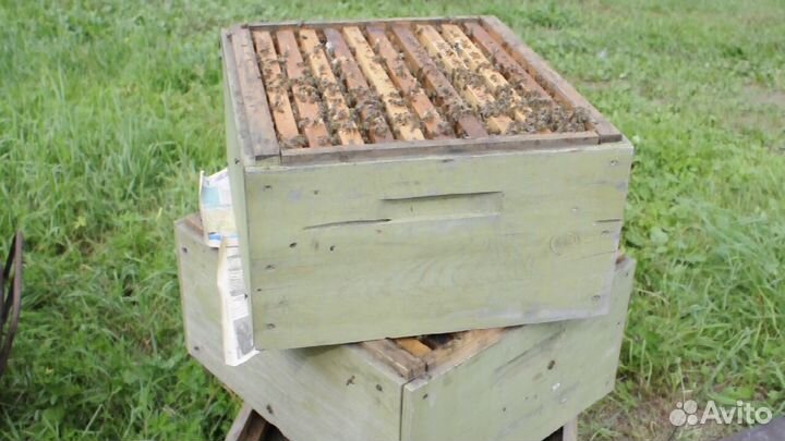 Инвентарь все для пасеки/пчеловодства