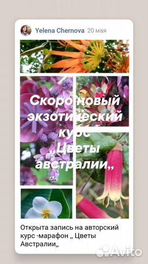 Онлайн обучение цветы из флористической глины