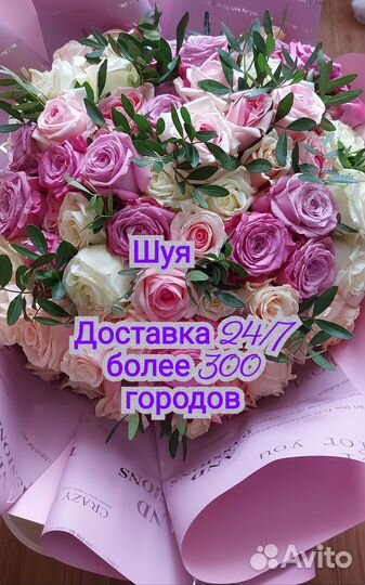 Розы 21/51/101 Шуя