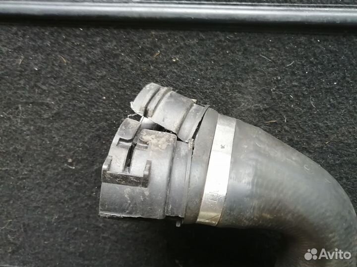 Патрубок радиатора Нижний Ford Kuga 2009 дизель