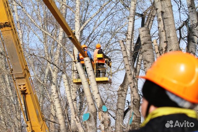Спил деревьев,Расчистка участка.Выкорчевывание
