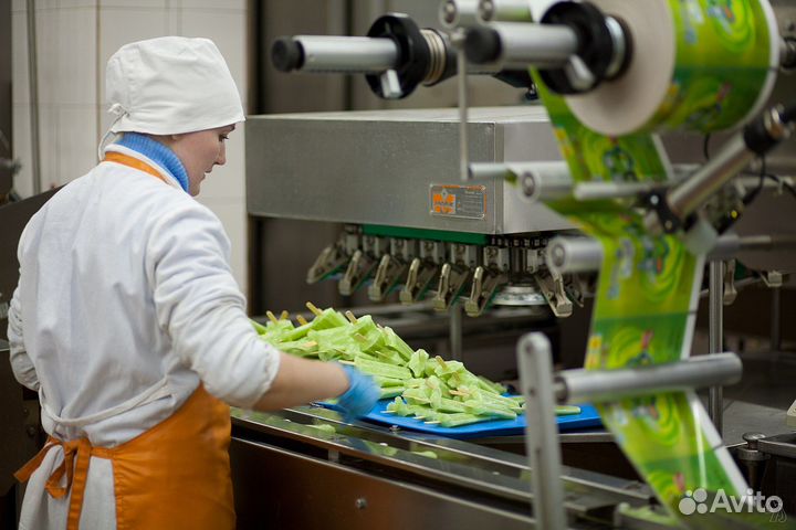 Упаковщик мороженного Вахта с питанием Энгельс