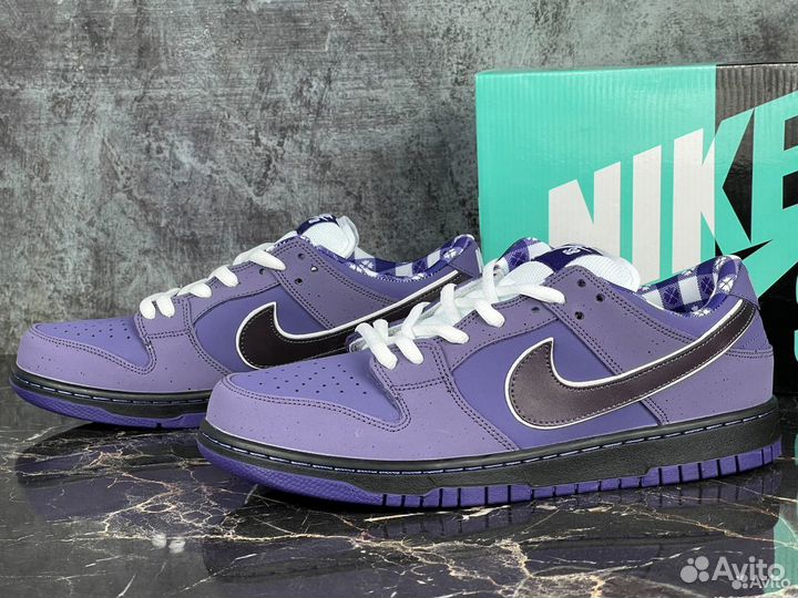 Nike Dunk Low Concepts Purple Lobster