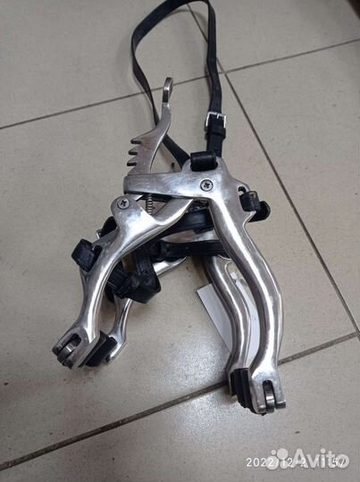 Зевник для животных