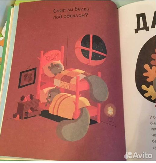 Пьют ли лягушки горячее какао Вилли Винки