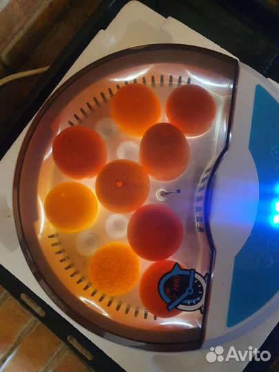 Инкубатор + брудер