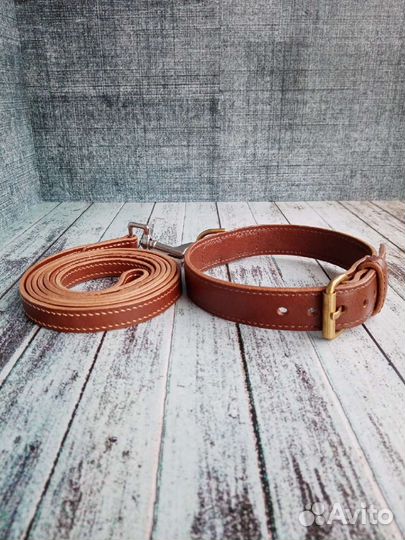 Ошейник и поводок для собаки