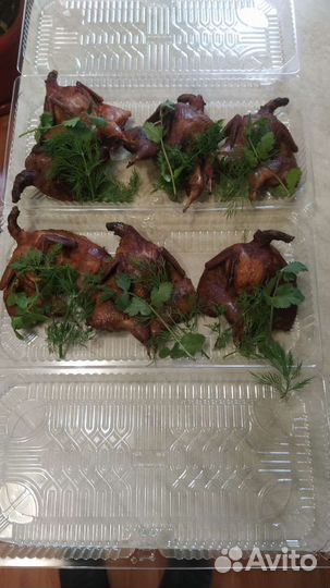 Перепела горячего копчения