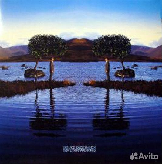 Виниловая пластинка Bruce Dickinson - Skunkworks