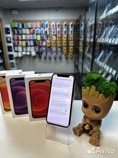 iPhone 12 mini, 256 ГБ