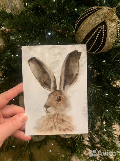 Открытки зайцы