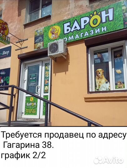 Продавец в зоомагазин