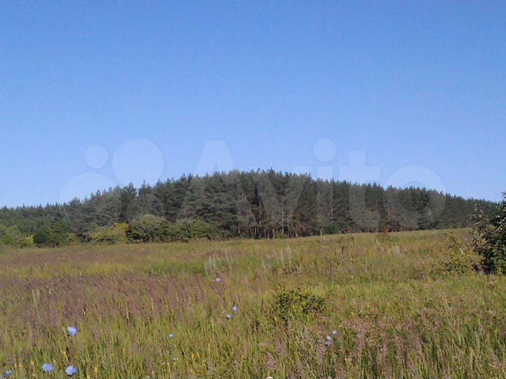 Участок 12 сот. (ИЖС)