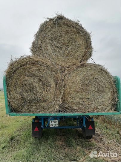 Сено в рулонах
