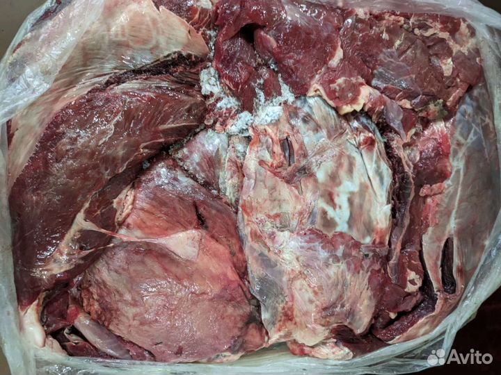 Рубец говяжий и мясо для собак