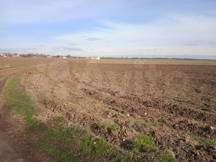 Участок 4 га (СНТ, ДНП)